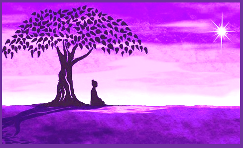 meditation-tree-web1